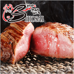 神戸牛と熟成肉ステーキ SHIOSAI